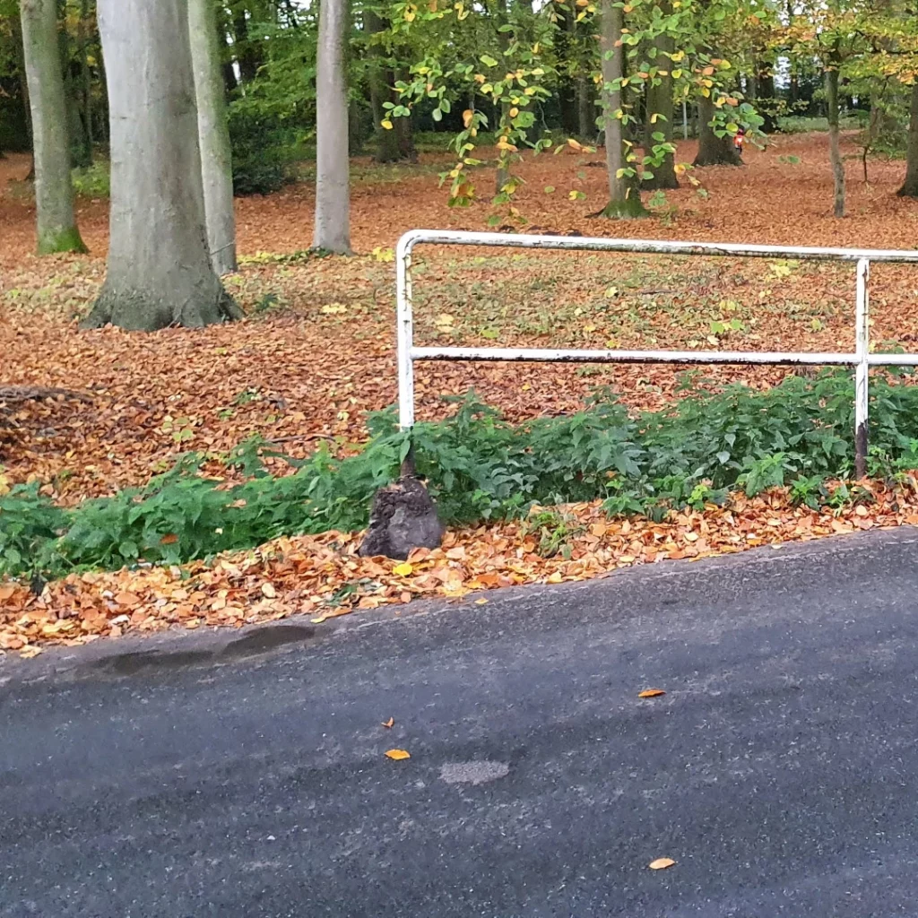 Verkehr in Oberneuland. Enge Straßen und schwieriger Begegnungsverkehr.